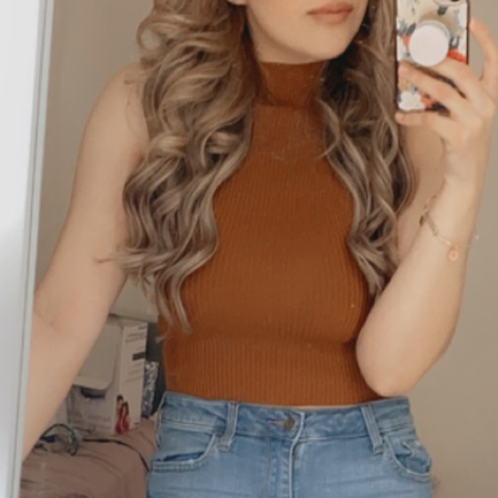 Copper/Brown Turtle Neck Crop Top